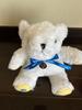[USED] Volkswagen Teddy Bear