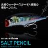 Daiwa Morethan Salt Pencil 95F Sleepless City