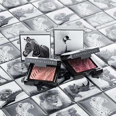 Люминесцентные тени для век 2,5 г