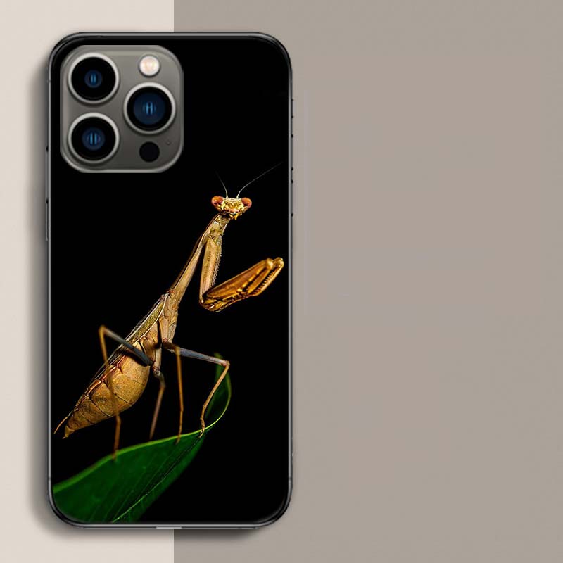 Чехол для телефона «Богомол» для iPhone 17 Air 15 Pro 14 Plus 16 Pro Max 17E 16E 12 13 Mini 11 Чехол Милый Fundas