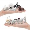 10Pcs Arctic Circle Ocean Sea Animal Figurines Set  Animal Learning Models Figures Christmas New Year Birthdays Gift