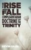 Книга The Rise and Fall of the Complementarian Doctrine of the Trinity