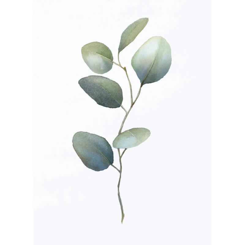 Акварельные листья зеленые постеры ботанические эвкалиптовые принты холст картины настенные художественные картины для гостиной украшения дома