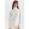 Regular Fit Soft Textured Turtleneck Basic Plain Knitwear Sweater H1651az23wn