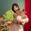 45cm Creative Christmas Series Plush Doll Pillow Christmas Tree House Snowman Elk Plush Doll Super Soft Gift for Boys and Girls