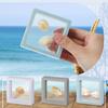 Seashell Holder 3D Floating Display Box 2.7 X 2.7 Inches Transparent Display Shelf Cases For Sea Shells Collectibles, Crystal Rocks