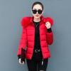 Новая короткая хлопковая одежда женское зимнее пальто хлопковая куртка приталенная утолщенная большой меховой воротник маленькая хлопковая одежда