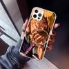 Чехол для телефона Bleach Синдзи Хирако для iPhone 17 Air 16 15 Pro Max 14 Plus 13 Mini 12 11 Чехол 7 8 SE Силиконовый Чехол Печать Fundas 1