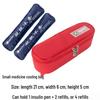 Large Insulated Portable Outdoor Medicine Cooler Bag for Insulin with Ice Pack