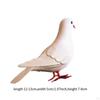 Foam Pigeon Model for Display, Imitation Dove Educational Use