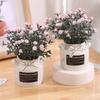 Подарки своими руками Керамический горшок Цветы Бонсай Гипсофила Цветы Искусственные горшечные растения для дома и улицы