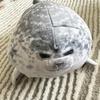 20 см Подушка для тюленей Kaiyukan Популярная мягкая кукла для тюленей Аквариумная плюшевая игрушка