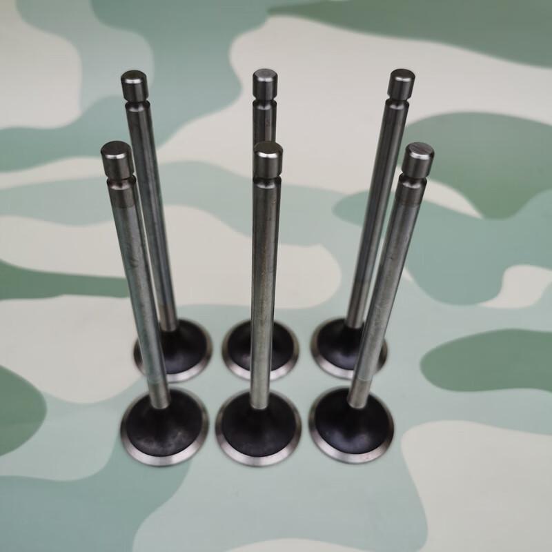 EQ1120GA Engine Intake/Exhaust Valve