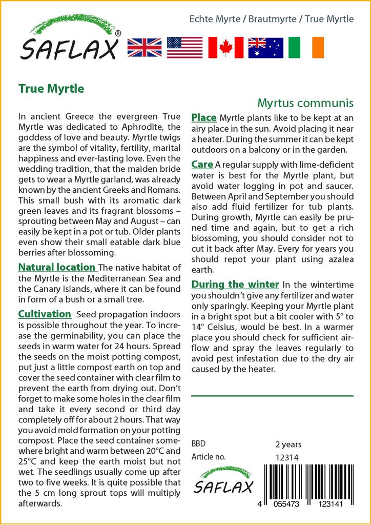 SAFLAX Мирт настоящий - 30 семян - Myrtus communis