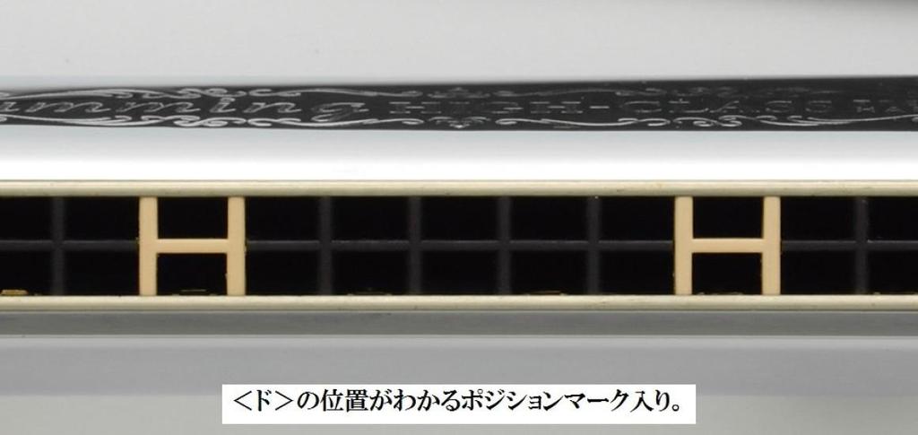 Suzuki SU-21W 21-Hole Diatonic Harmonica, Premium Humming, Am Key