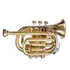 Musical Pocket Trumpet, Bb, Brass Best Sound And With Case