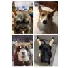 Correct Ear Erector Doberman Dog Supplies Ear Care Tools Dog Ear Stand Up Stickers Dog Ear Erector