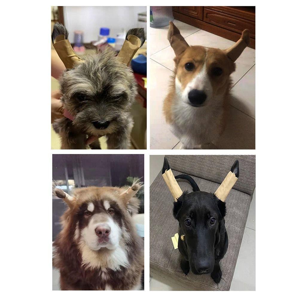 Correct Ear Erector Doberman Dog Supplies Ear Care Tools Dog Ear Stand Up Stickers Dog Ear Erector