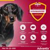 ADVANTIX Chien Solution Antiparasitaire Très Petite Race 1,5 à 4kg 6 pipettes