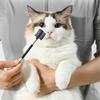 Portable Double-Sided Head Pet Eye Comb Tear Stain Remover Brush Small Cat Puppy Grooming Comb Tools Cleaning Accessories