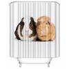 Musife Custom High Quality guinea pig Shower Curtain Waterproof Bathroom Polyester Fabric Bathroom Curtain