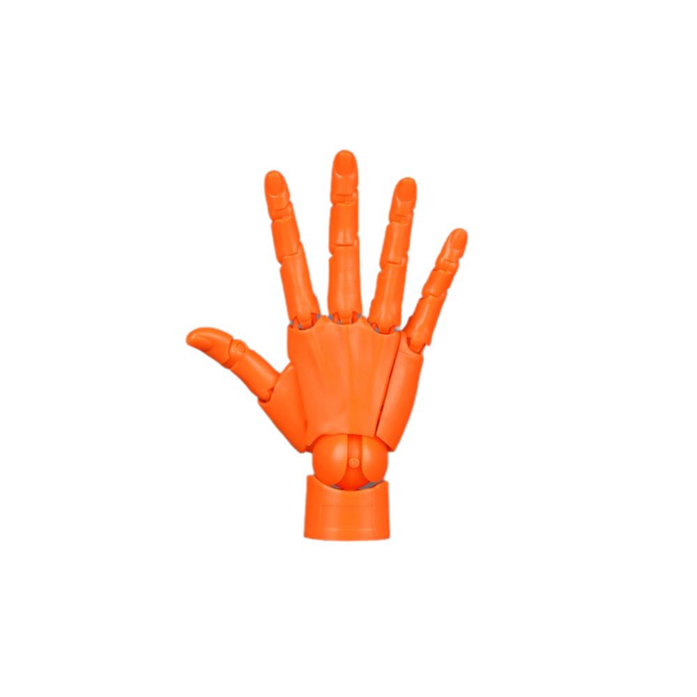 Right Articulated Hand Model Flexible Hand Finger Joint Figurine for Art Drawing Reference