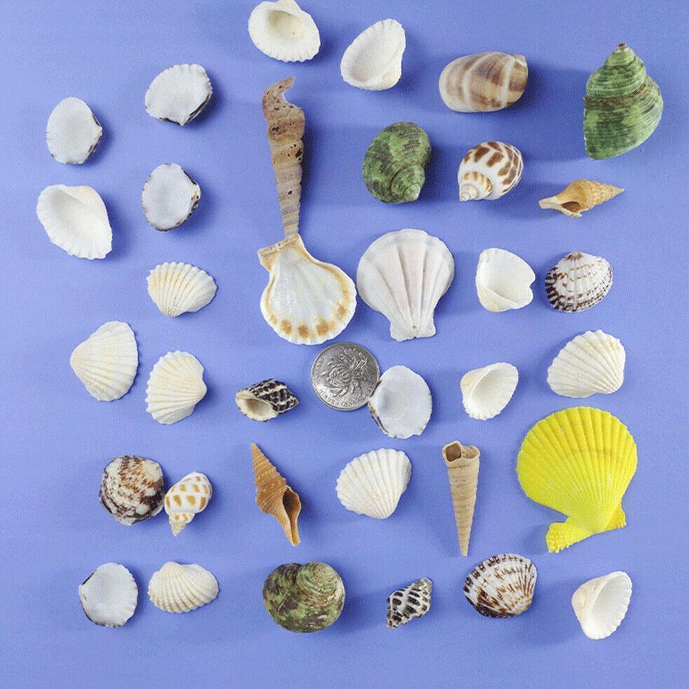 3 шт. Украсьте ракушки цилиндрическим ландшафтным дизайном Океанические спиральные ракушки Поделки Украшение для аквариума Ландшафтные аксессуары