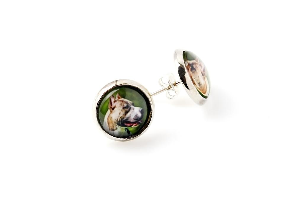 Pit Bull, American Pit Bull Terrier, Pitbull Terrier, APBT – Earrings your photo handmade, own photo | Art-Dog