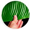 1Pcs Heat Resistant Artificial Banana Leaf Simulation Kitchen Placemats  Party Wedding Decoration