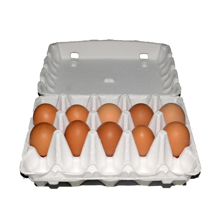 20 Pack Breathable Pulp Egg Cartons for Gift & Transport