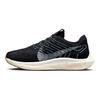 Nike Pegasus Turbo Next Nature Black Noise Aqua Женские кроссовки Антрацитовый Белый DM3414-004