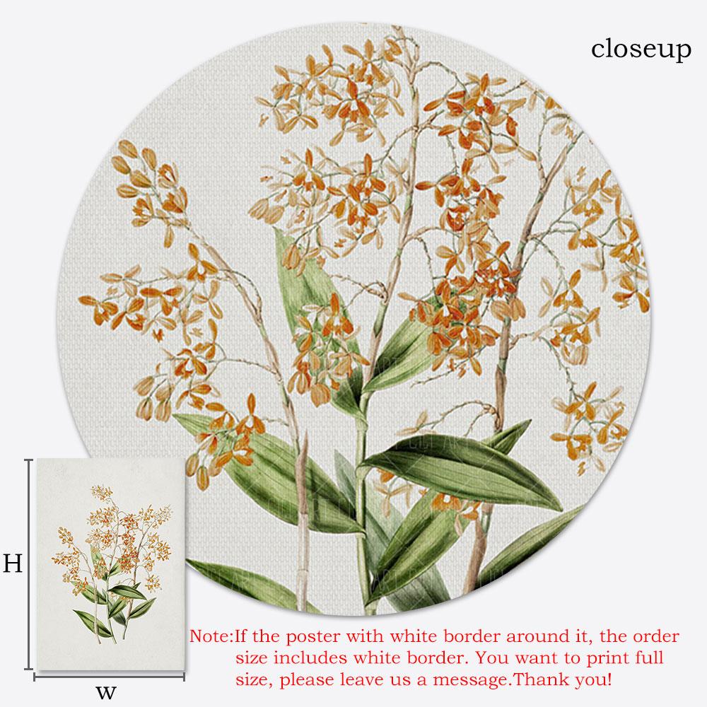 Vintage European Landscape Coastal Poster Botanical Art Print Textile Canvas Oil Painting Wall Picture Living Room Home Decor