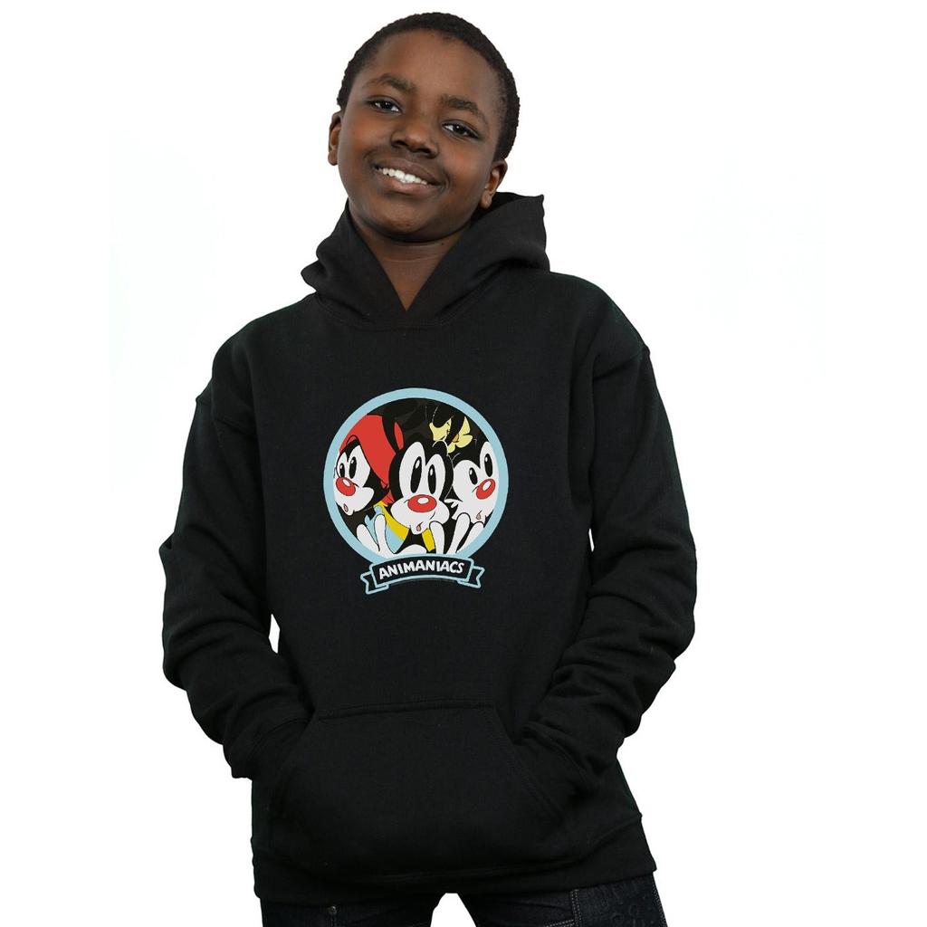 Animaniacs Boys Fisheye Group Hoodie