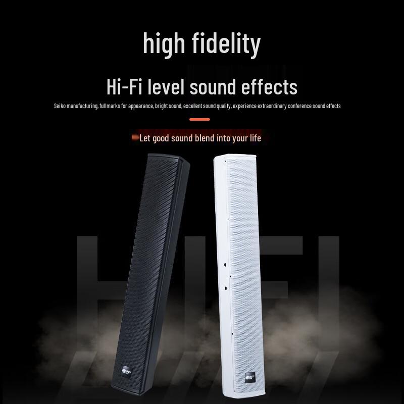 Weishu Professional Indoor Line Array Speakers & Brackets