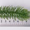 20Pcs Fake Pine Needle Realistic No Watering Artificial Pine Leaves DIY Flowers Arrangement Simulation Pine Branch Wedding Party Decor