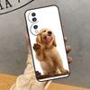 Golden Retriever Dog Case For Honor Magic 5 6 7 Pro Cover For Honor 400 200 50 70 90 Lite X9 X8a X8b X9a X9b X9c