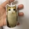 Мяу Кошка Голосовая Плюшевая Брелок-Подвеска Милое Говорящее Мягкое Животное для Сумок Рюкзаков Забавный Подарок для Детей Студентов