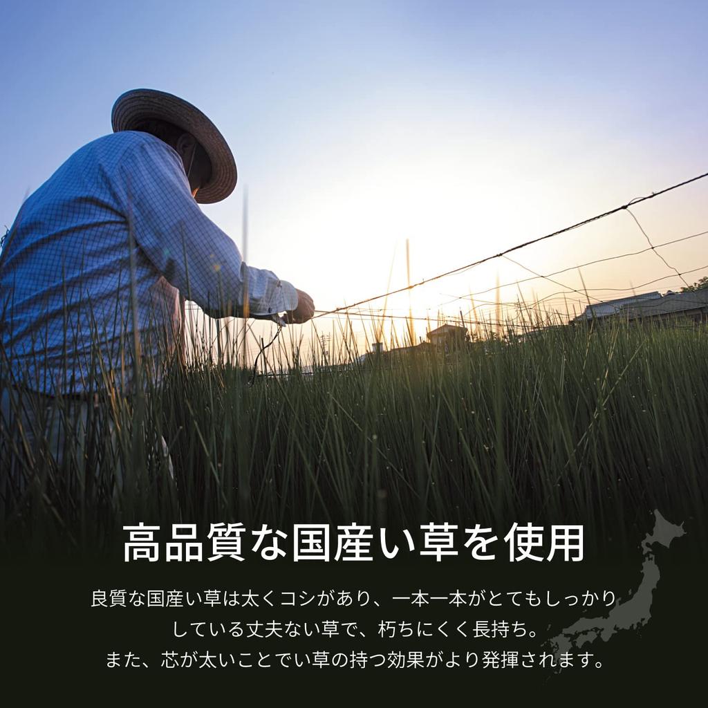 Hagiwara Buddhist Altar Cushion, Natural, Approx. 70cm W x 70cm D, Made with Japanese-Made Igusa Grass, Reversible, Includes Storage Bag [Phoenix