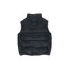 Nike Жилеты ACG Унисекс Черный Воротник-стойка Умеренный DH3076-010