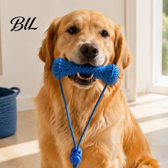 Interactive Pet Toy Dog Chew Toys for Aggressive Chewers, 2-in-1 Teeth Cleaning Dental Care with Rope, Bone Shaped TPR Tough Medium Large Breeds Puppy