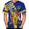 Летняя футболка с круглым вырезом и принтом флага и эмблемы Барбадоса, 3D-печать, модная, повседневная, с коротким рукавом, мужская