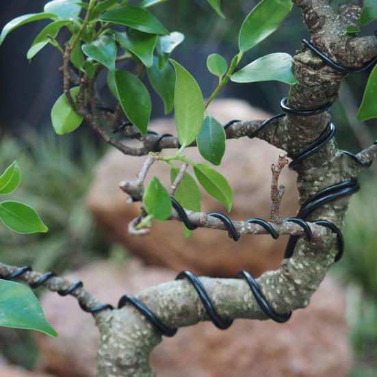 4 рулона 10 м проволока для бонсай анодированный алюминий гибкие цветные самодельные садовые растения