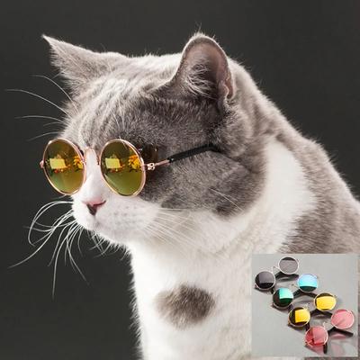 Очки для кошек Очки для собак Товары для домашних животных для маленьких собак Очки для кошачьих глаз Солнцезащитные очки для собак Фотографии Реквизит Аксессуары Товары для животных Игрушки