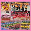 25cm Cheap Practical Pompoms 9 Colors Flower Ball High Quality Game Pompoms  Sports Cheerleading