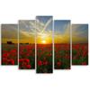 Картина из пяти частей, печать на холсте, Поле Маков, Закат