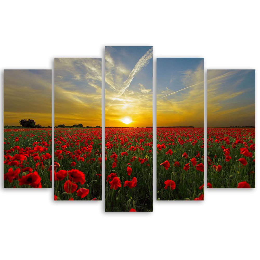 Картина из пяти частей, печать на холсте, Поле Маков, Закат