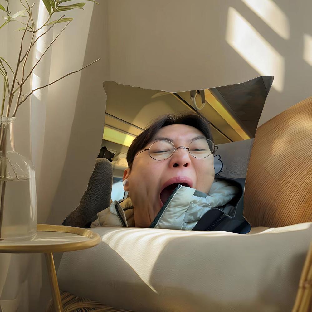 Забавные Звезды RRoh JJae Won Наволочка Двусторонняя Плюшевая Подушка-Подушка для Дивана Органическая Дышащая Невидимая Молния