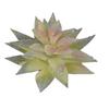 Artificial Succulent Plant Soft PVC High Simulation Mini Fake Plant for Home Office Desk Decoration