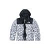 THE NORTH FACE Down Jacket Unisex Gray (Unisex) Down Jackets NF0A3C8D II6
