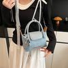 Denim Handbag Women's New Fashion Embroidered Dumpling Bag High-end Single Shoulder Messenger Women's Bag